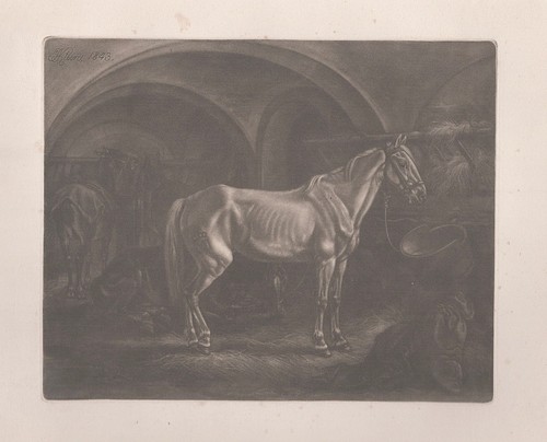 Pferde horses johann adam - horses,