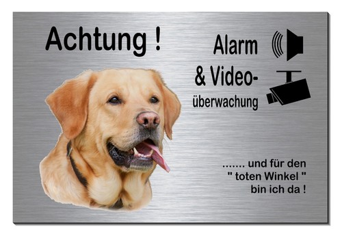 Labrador-Hund-Alarm-Video-300x