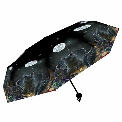 Fantasy regenschirm schirm - regenschirm,