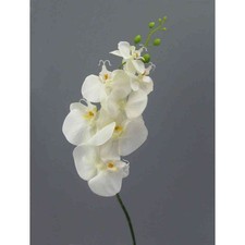 Kunstblume, PHALENOPSIS 86cm. Künstliche Orchidee, Orchideentrieb. CREME
