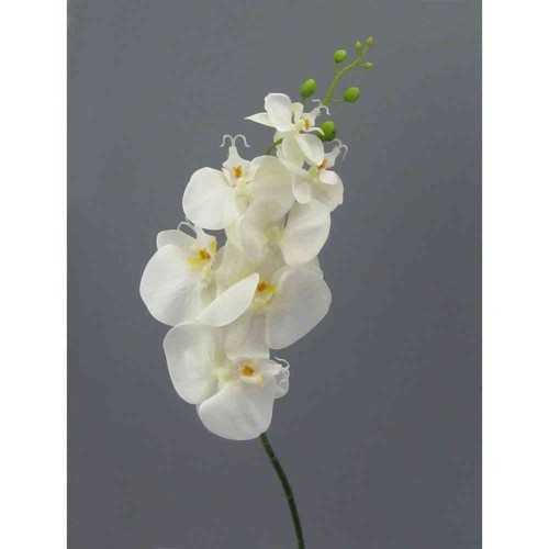 Kunstblume phalenopsis 86cm - kunstblume,,