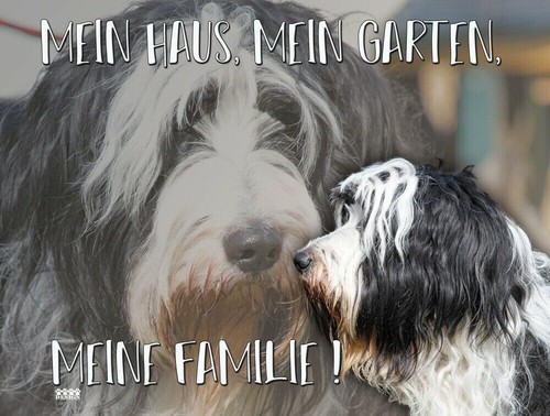 Bearded collie hundeschild - collie,