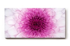 Sinus art wandbild perfekte - art,