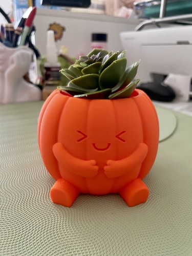 Orange planter pumpkin flower - pumpkin,