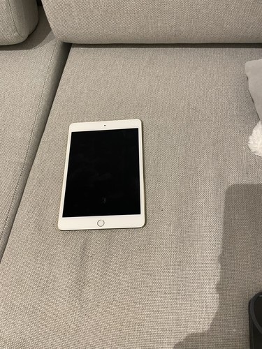 Apple ipad mini 64gb 20 - 4, 20,07