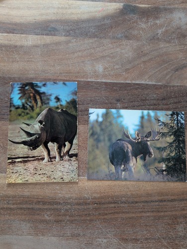 Vintage wildtiere postkarte - wildtiere,