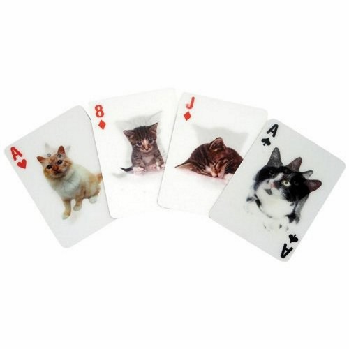 Kikkerland katzen poker - 3d,