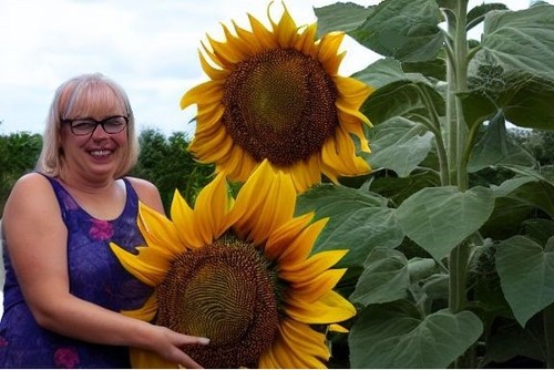 Riesen sonnenblume exot - riesen-sonnenblume,