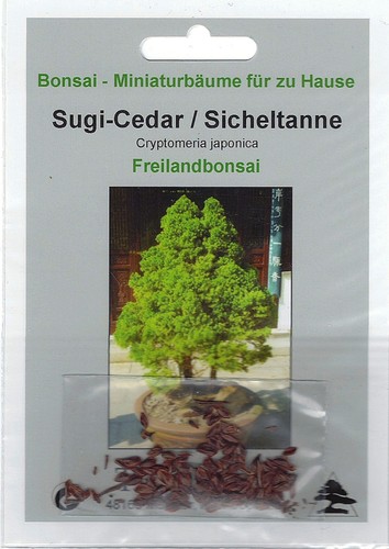 Bonsai 100 samen cryptomeria - 100,
