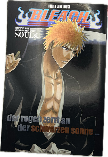 Bleach character book souls - book,