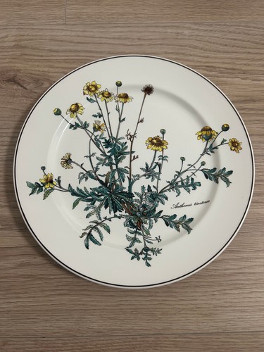 Villeroy boch speiseteller - villeroy,