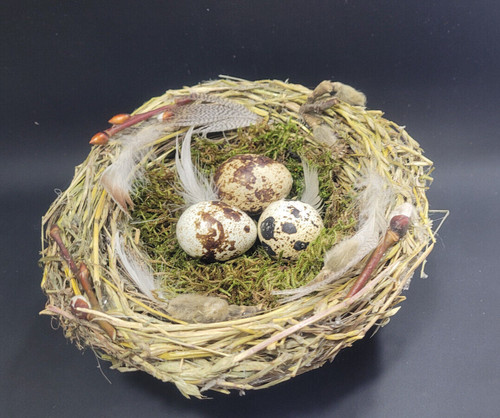 Deko vogelnest osternest mit - ,
