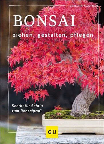 Bonsai ziehen gestalten - ziehen,,