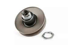 Wandler Minarelli liegend /