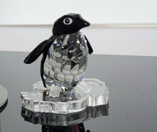 Swarovski Sir Pinguin auf Eisscholle 206997 TOP ZUSTAND in OVP (L1)