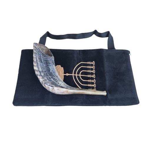 Shofar verkauf widder - shofar,