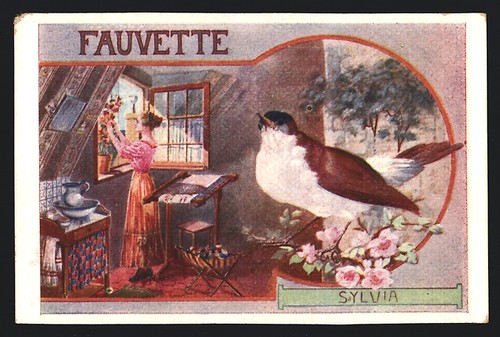 Sammelbild chocolat - chocolat, du