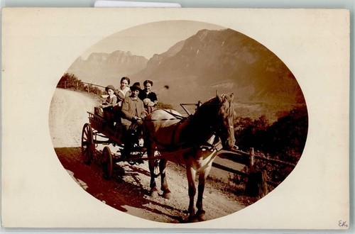 Bauernwagen einspänner - bauernwagen,