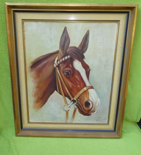 Braunes pferd tierkopf - braunes,
