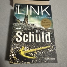 Ohne Schuld: Kriminalroman