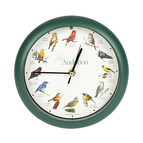 Audubon singing bird - singing,