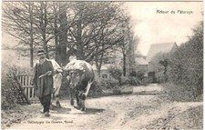 AK CPA Eifeltypen, Eifeler