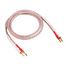 8TC FeverGrade6N OCCAV