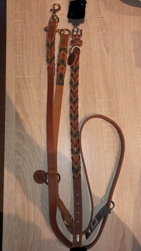 Hundeleine halsband hunter - m.,