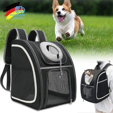 Haustier Rucksack