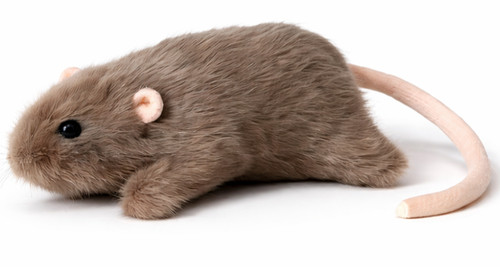 Kuscheltier maus ratte - maus, braun