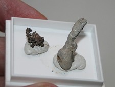 2 Stücke gediegen Silber 