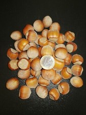 25kg Haselnüsse in der