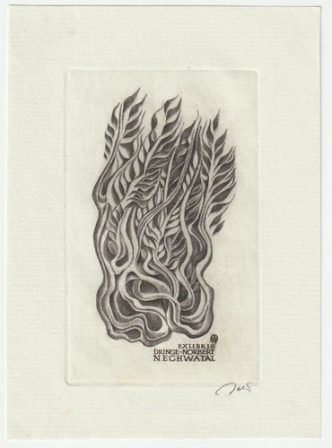 Woiciech jakubowski exlibris - jakubowski:,