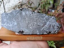 Gibeon-Meteorit, Museumsstück, Namibia, Top-Stück, Rarität, 1A !!!