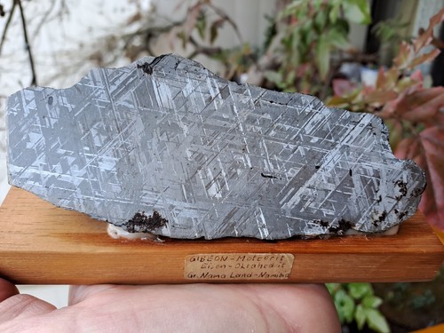 Gibeon-Meteorit