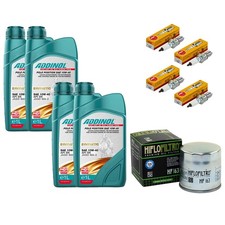 Inspektion Ölfilter Öl 4L