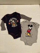 2 Disney Parks Mickey Mouse