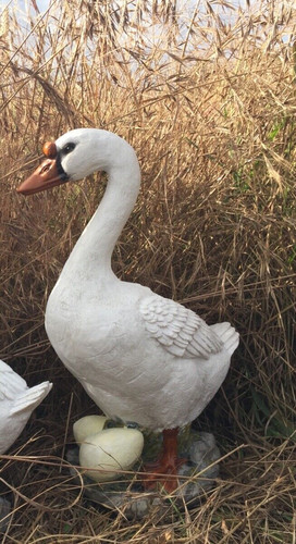 Gänse nestchen mit eiern - nestchen,