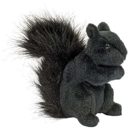 Schwarzes eichhörnchen - schwarzes,