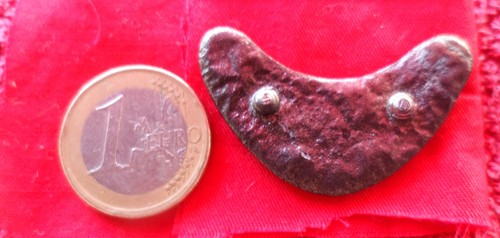 Ringkragen miniatur - ringkragen,