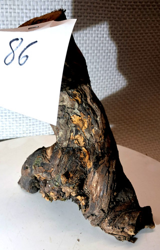 Weinstock treibholz bastelholz - treibholz,