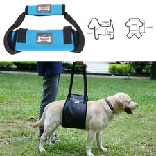 Hunde tragehilfe gehhilfe - hunde,