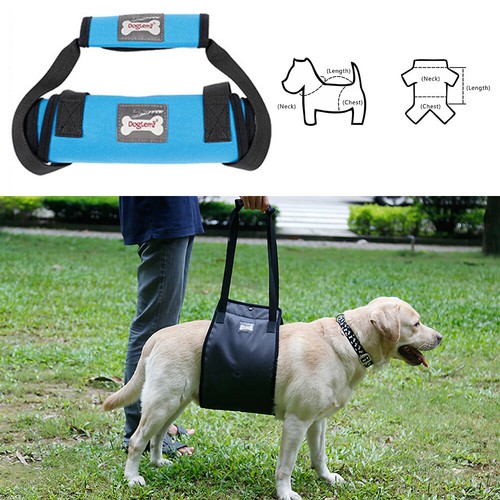 Hunde tragehilfe gehhilfe - tragehilfe,