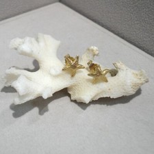 Seestern Ohrstecker Maritim Meer Strand Sterlingsilber 925/- gelb vergoldet