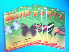 Mini-Biester - Insekten