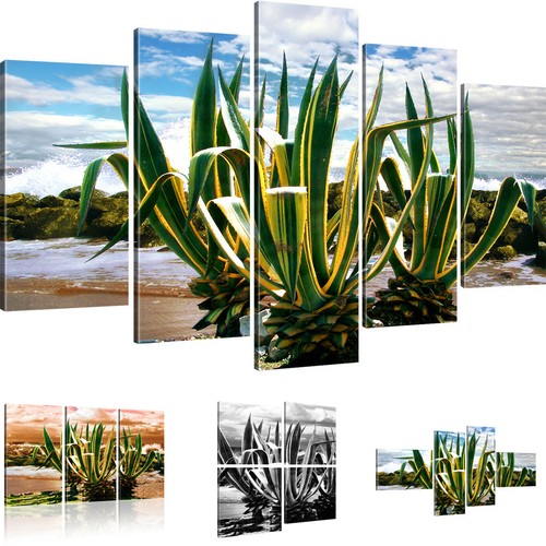 Bilder pflanze wandbild - bilder,