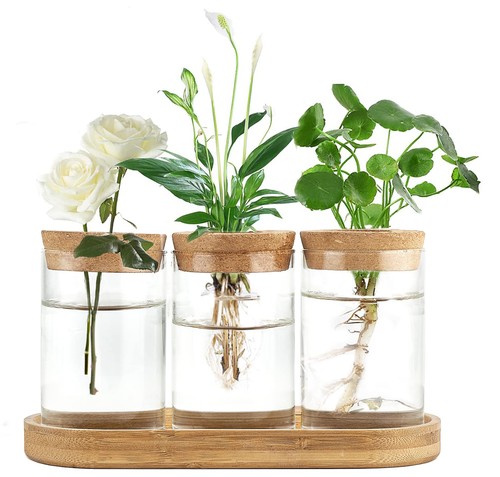 Glas pflanzstation terrarium - glas,