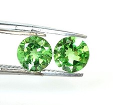 5 MM Natürlich Tsavorit Granat Rund Schliff Paar 1.19 Cts Lose Zertifiziert