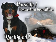 BERNER SENNENHUND Metallschild