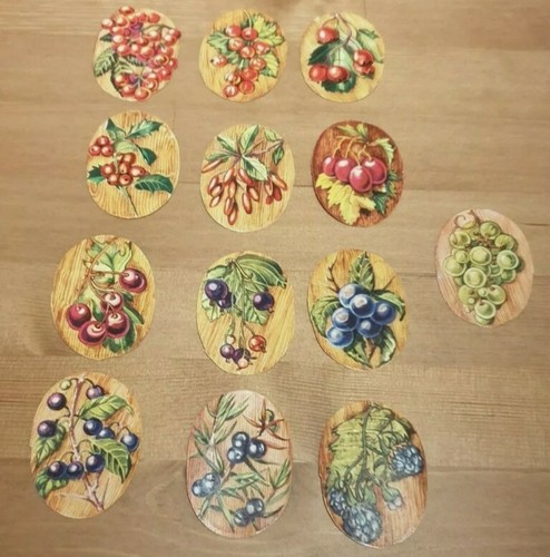 Ddr stamperblümchen früchte - stamperblümchen,